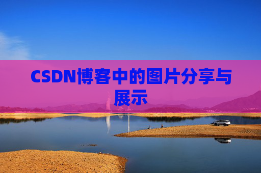 CSDN博客中的图片分享与展示